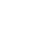Weapons & Firearms Icon